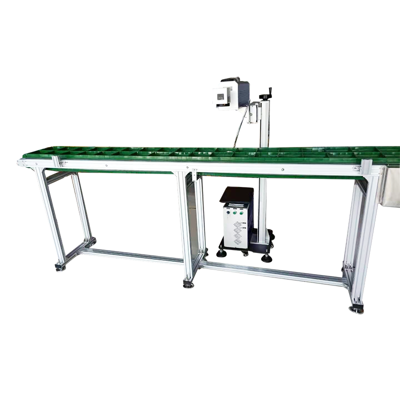 Flying CO2 Laser Marking Machine For Oyster Shells Production Line